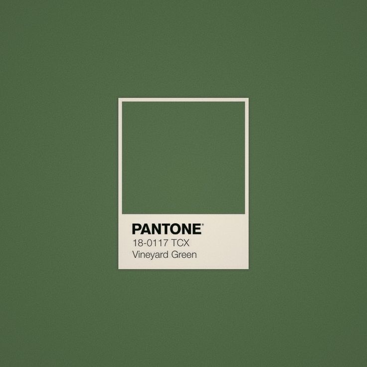 Топ-3 модних кольори весна-літо від Pantone: що обирати в 2025 році